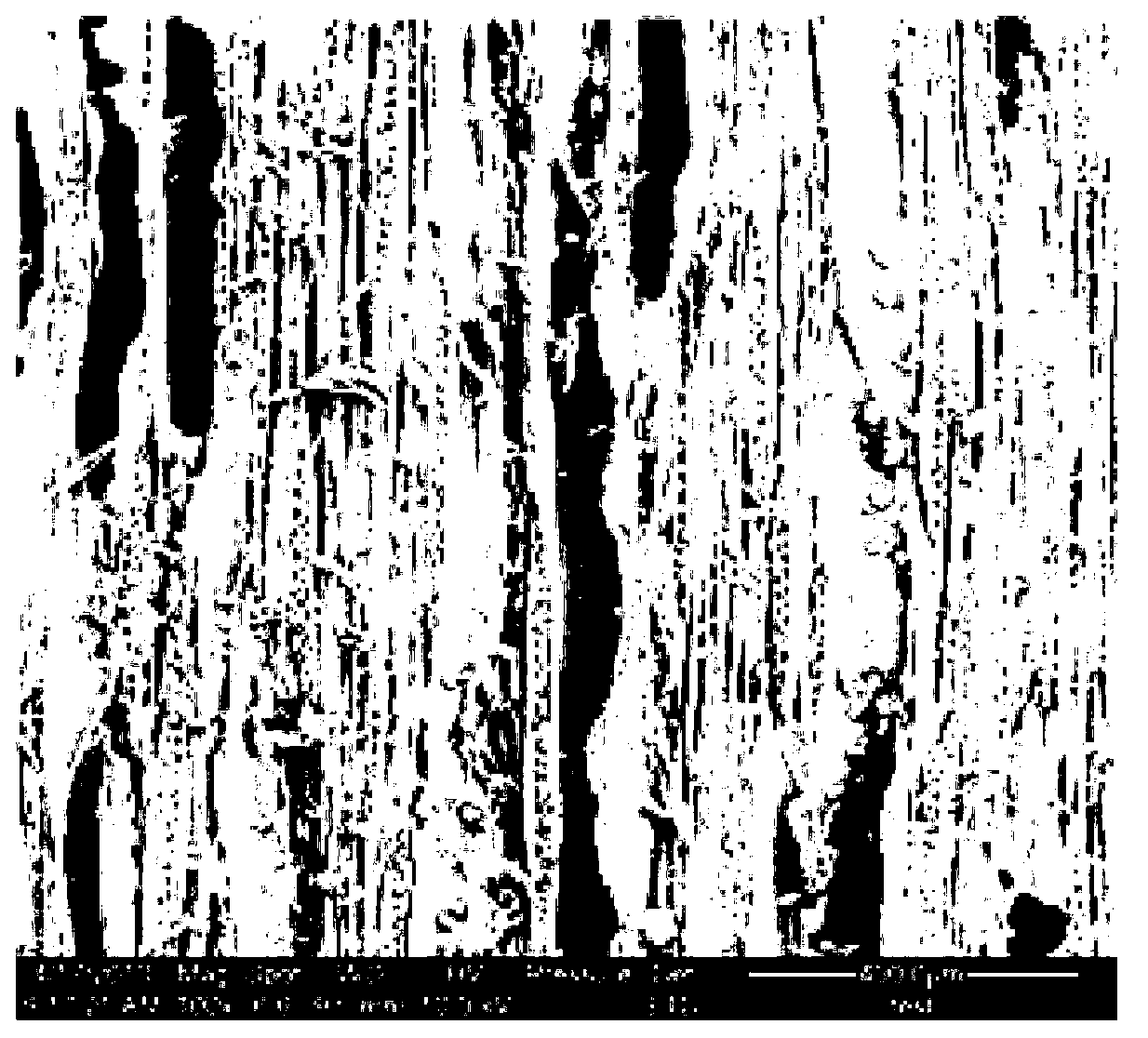 Environment-friendly wood veneer dyeing agent and dyeing method thereof