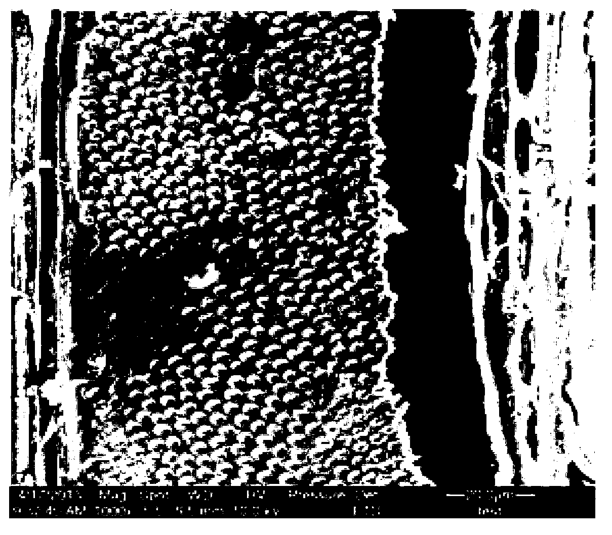 Environment-friendly wood veneer dyeing agent and dyeing method thereof