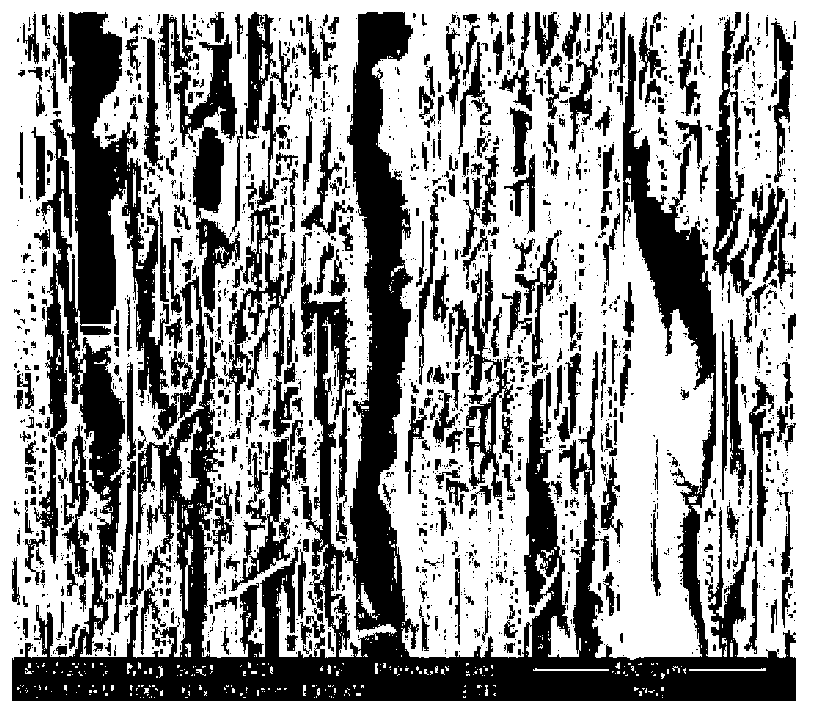 Environment-friendly wood veneer dyeing agent and dyeing method thereof