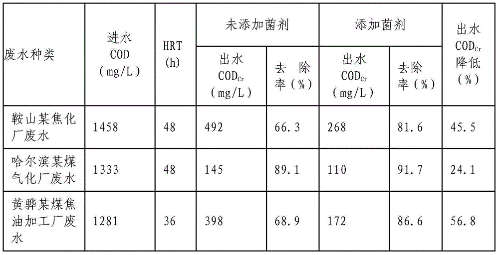 Medium of composite bacterium for culture treatment coking wastewater, and its application