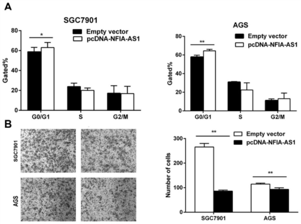 Application of a long non-coding RNA and its composition in the diagnosis/treatment of gastric cancer