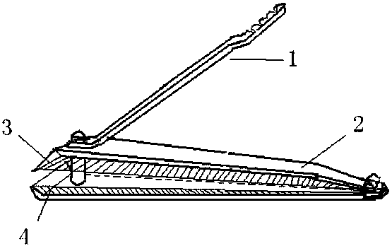 Nail clipper based on splash-proof structure