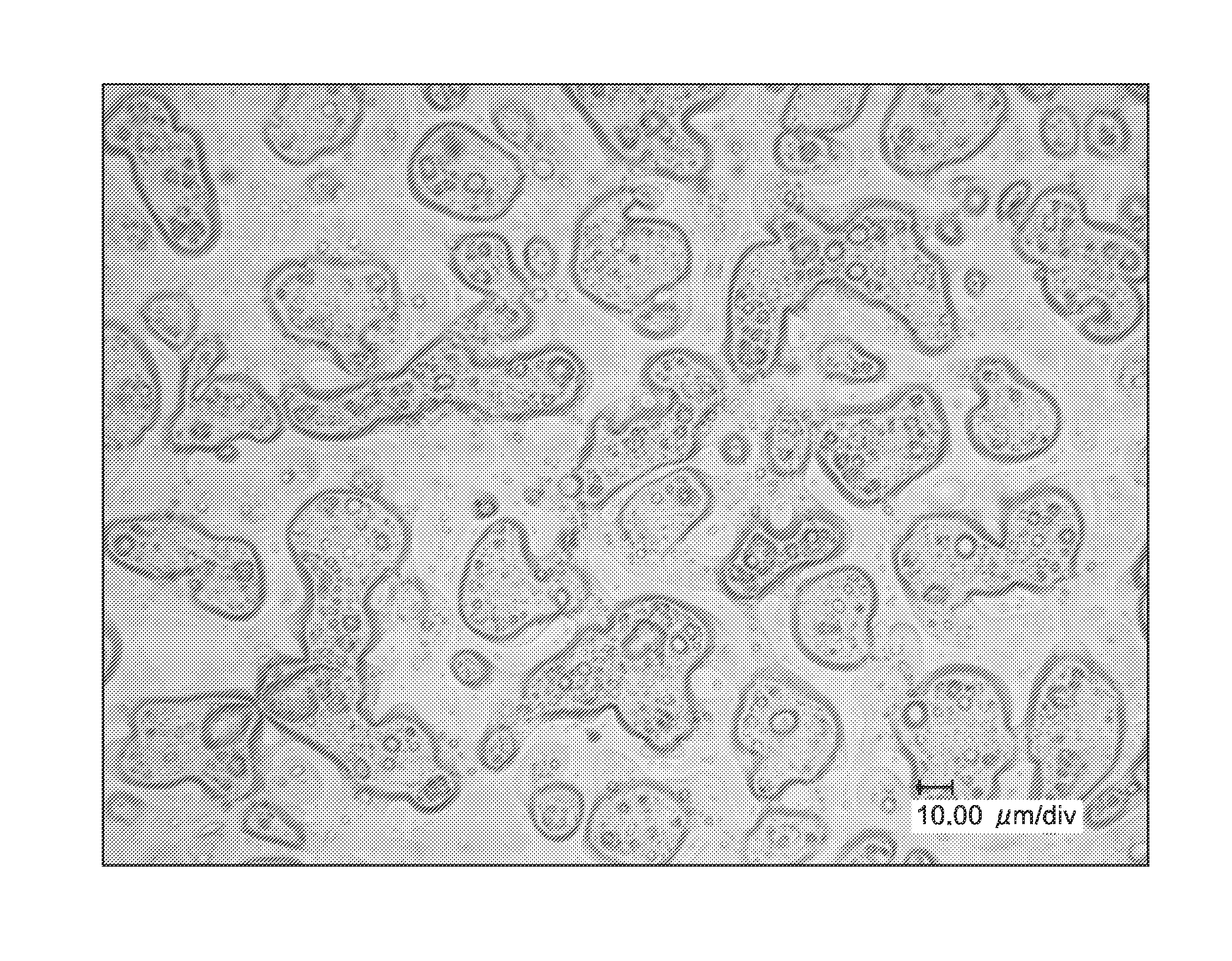 Light scattering sheet and method for producing the same