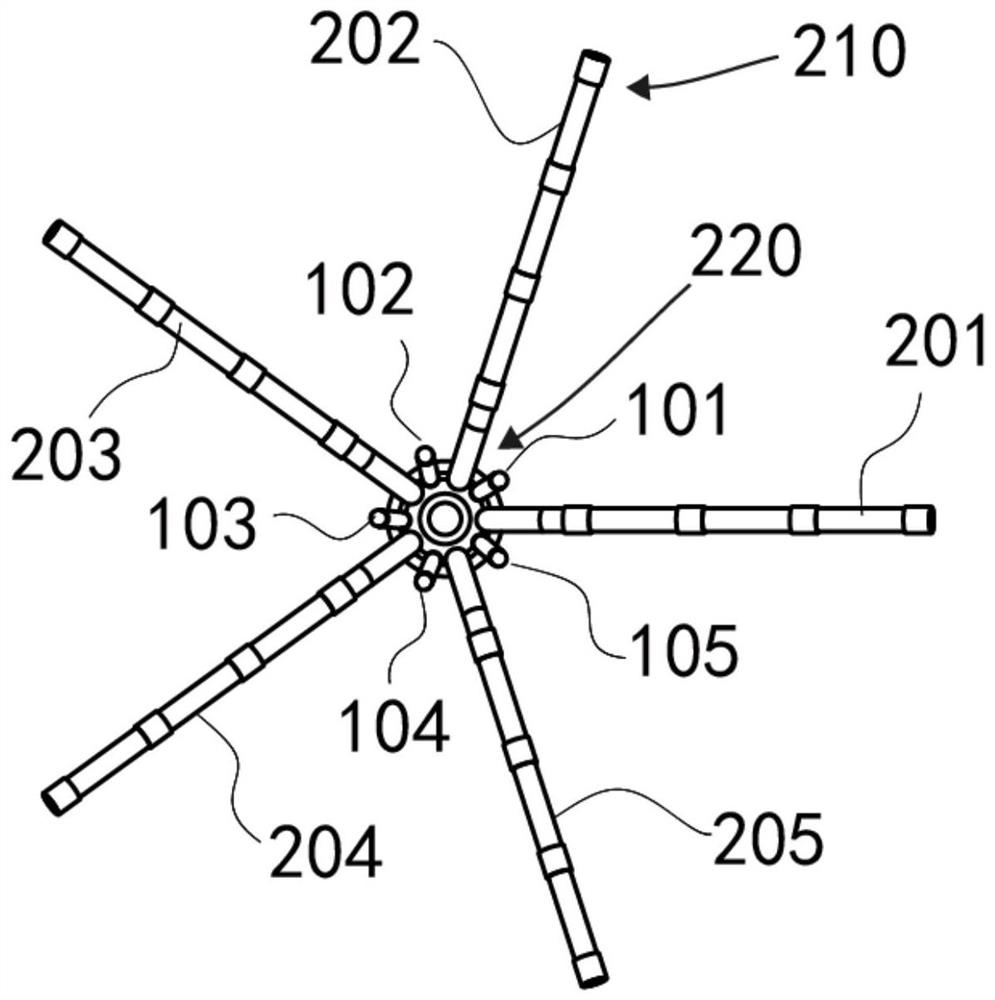 Inflorescence-shaped electrophysiological mapping catheter device