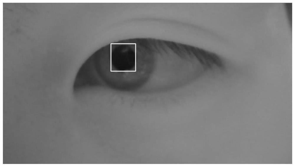 A pupil center localization method based on star rays