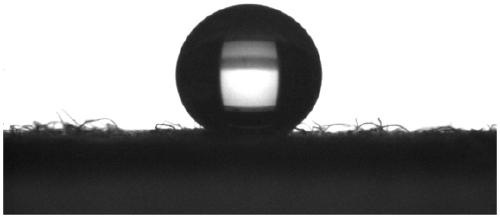 Self-healing type super-amphiphobic and photocatalytic double self-cleaning coating and method for preparing same