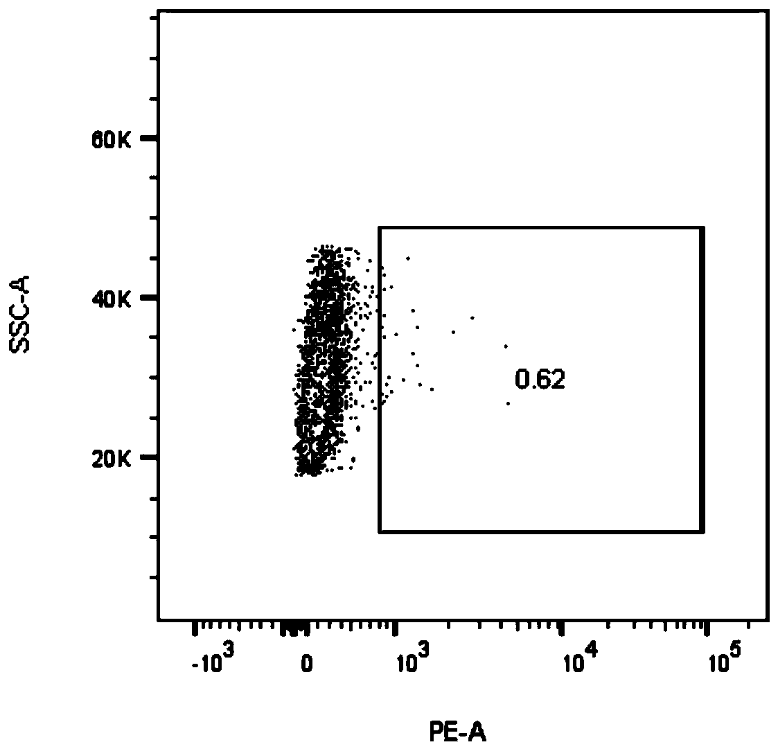 Specific T cell receptor (TCR) specific to EGFR L858R gene mutation and application of TCR