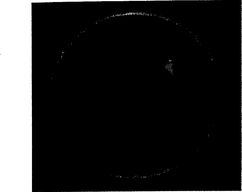 Artificial pearl paint containing photocatalyst and method of preparing the paint and a method of painting