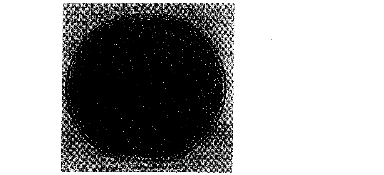 Artificial pearl paint containing photocatalyst and method of preparing the paint and a method of painting