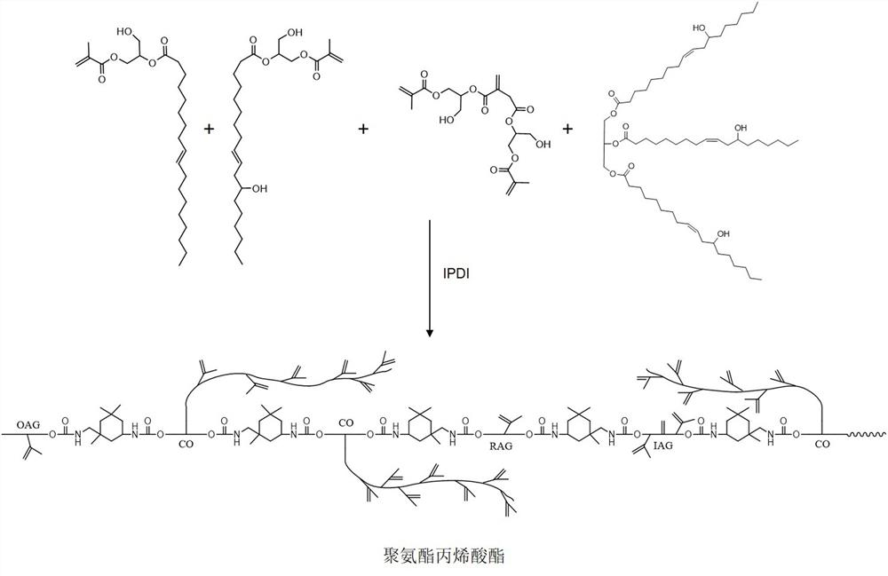 Multifunctional bio-based urethane acrylate as well as preparation method and application thereof