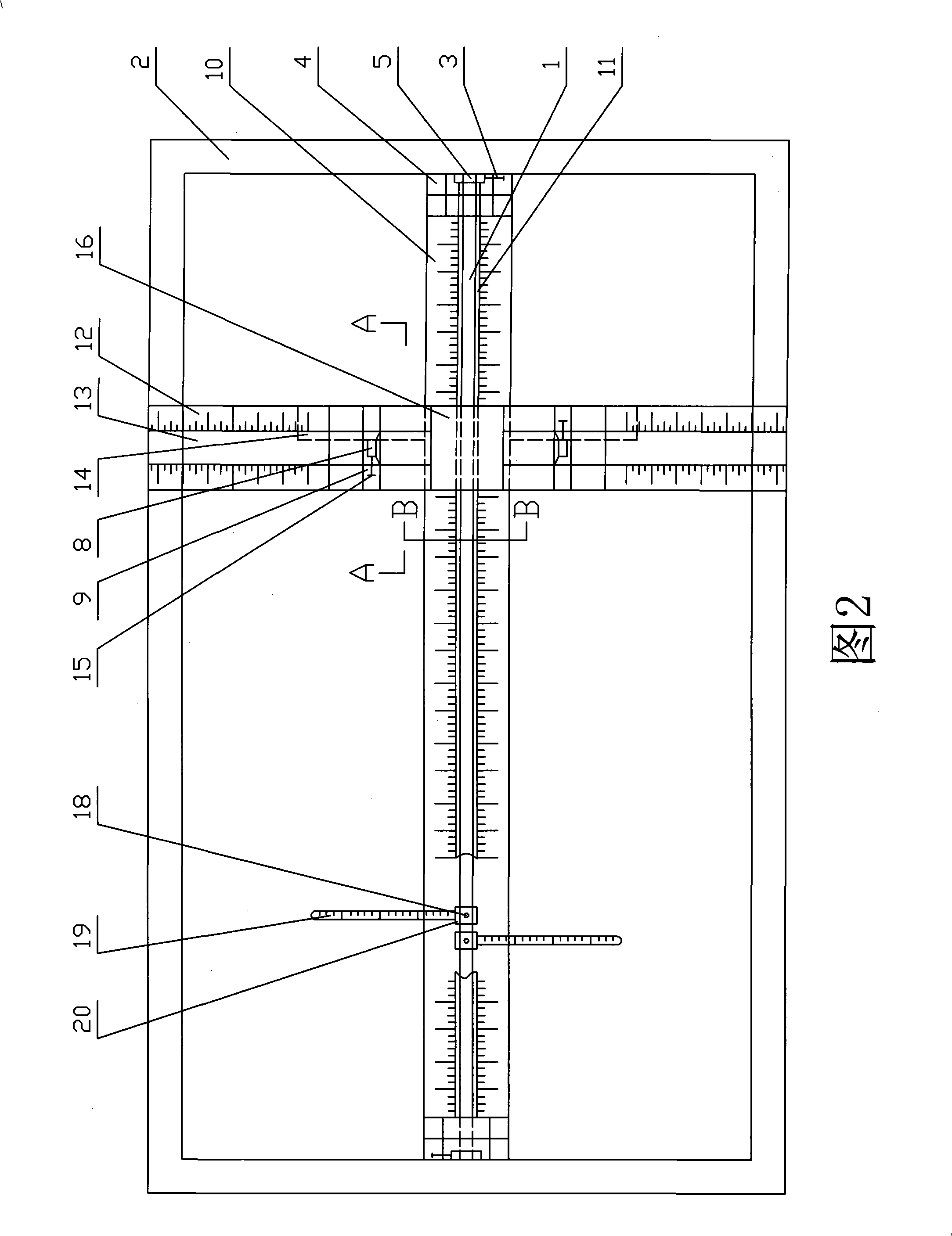 Vertebral column trunk external measuring rule