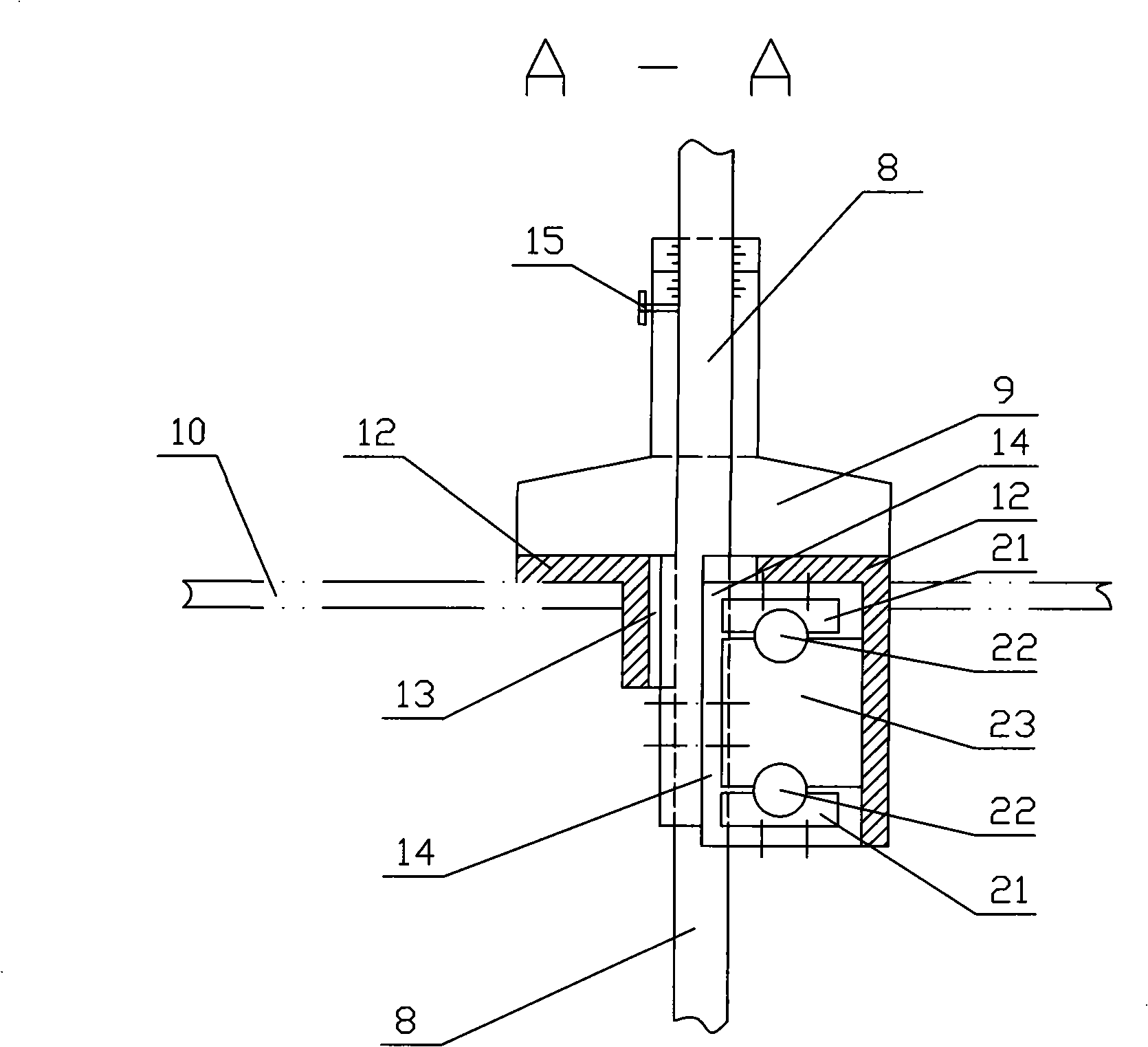 Vertebral column trunk external measuring rule