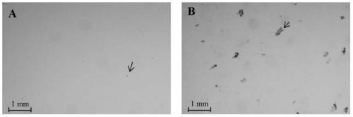 A Pretreatment Method for the Simultaneous Analysis of Organic Contaminants and Metals in Hair Samples