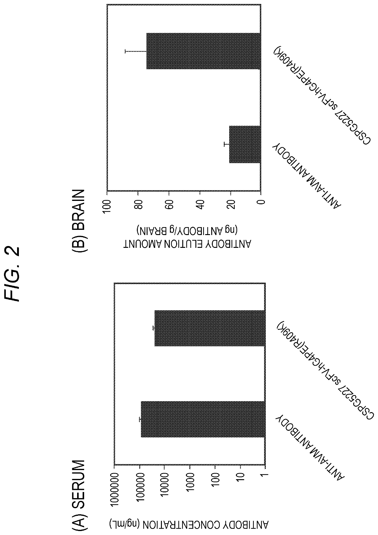 Antibody binding to chondroitin sulfate proteoglycan 5