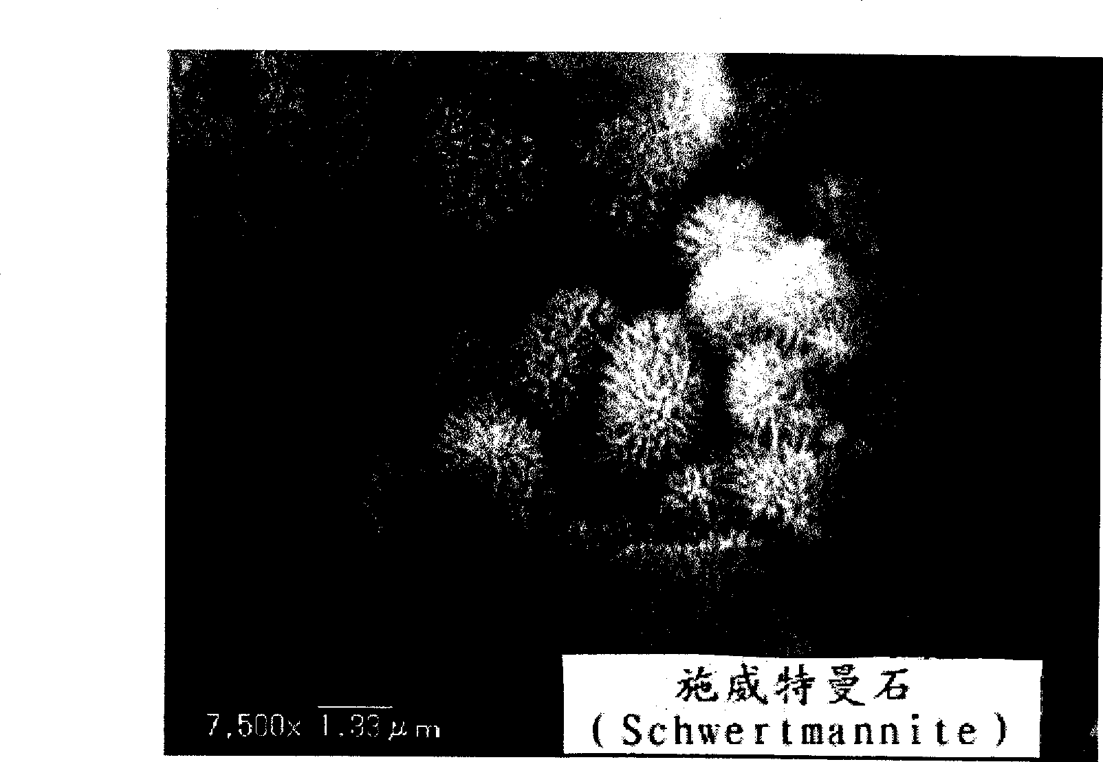 Magnetic chemical absorber, process for producing the same, method of regenerating the same, and method of treating waste liquid