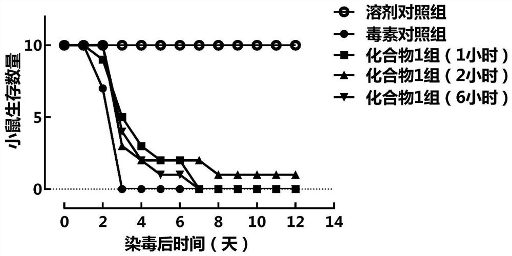 Dihydroquinazolone-type reverse transport process blocker, its preparation method and use