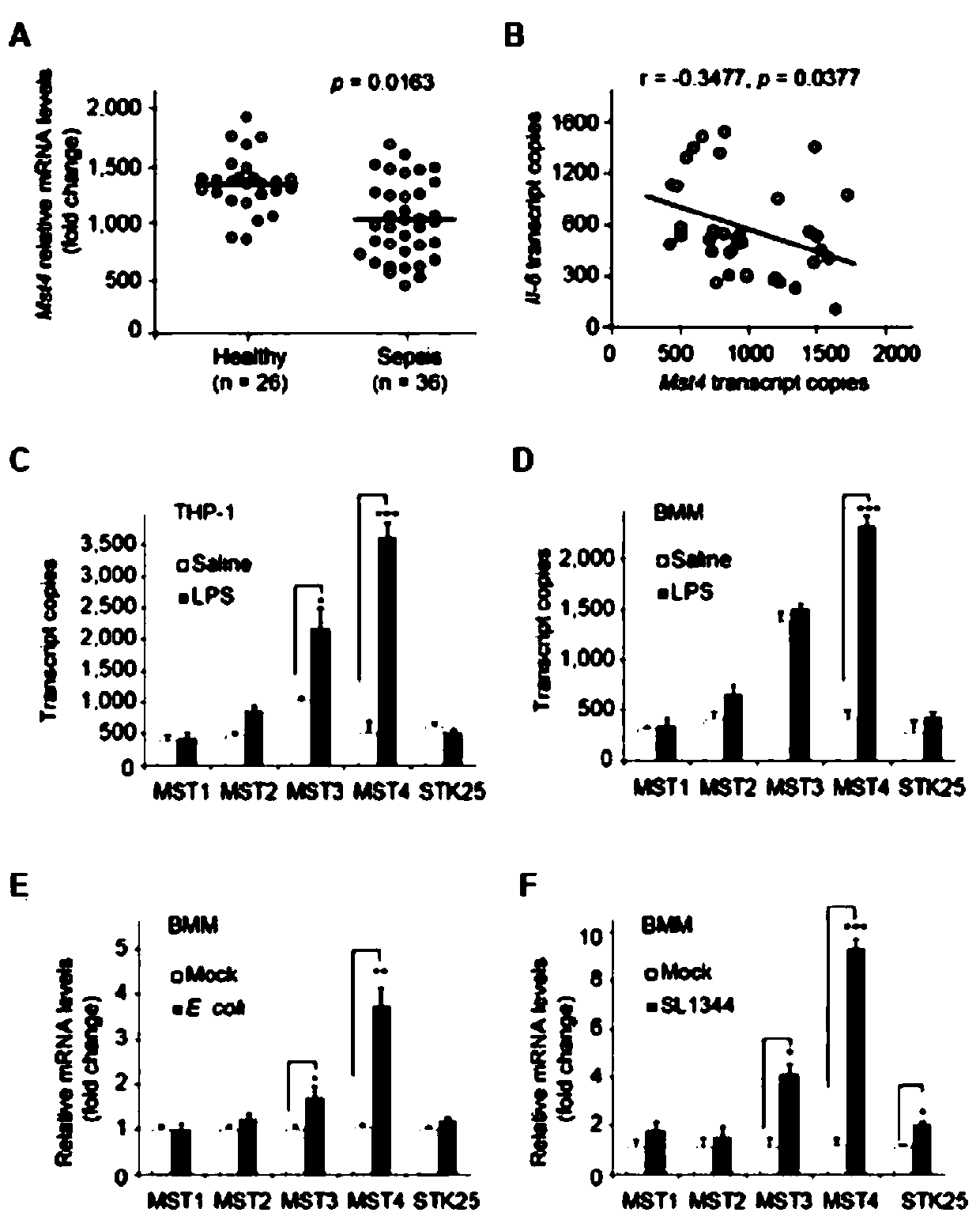 Application of mst4 gene diagnosis and cell therapy for infectious diseases and related drugs