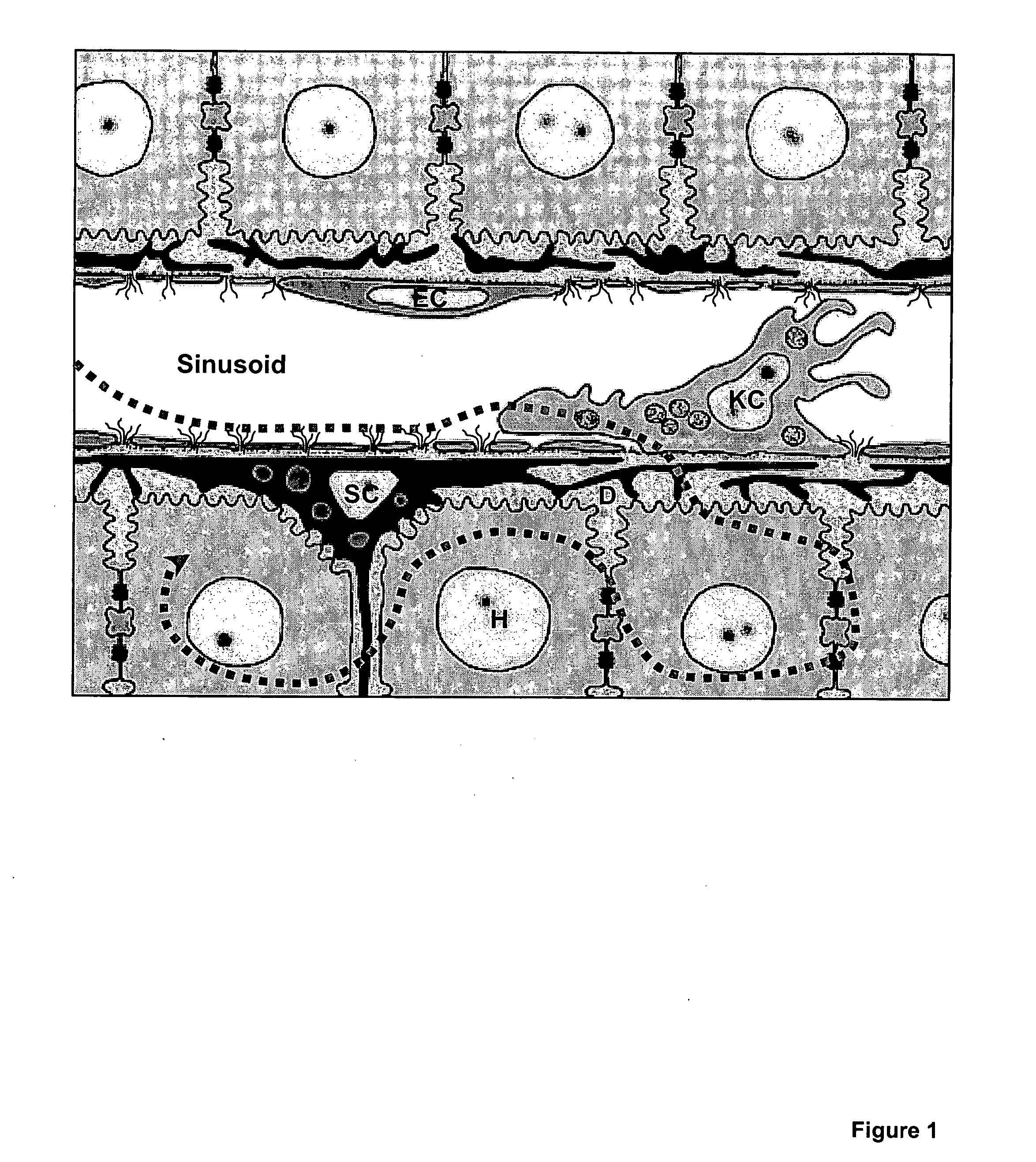 Compositions and methods for inactivating or suppressing inflammatory cells