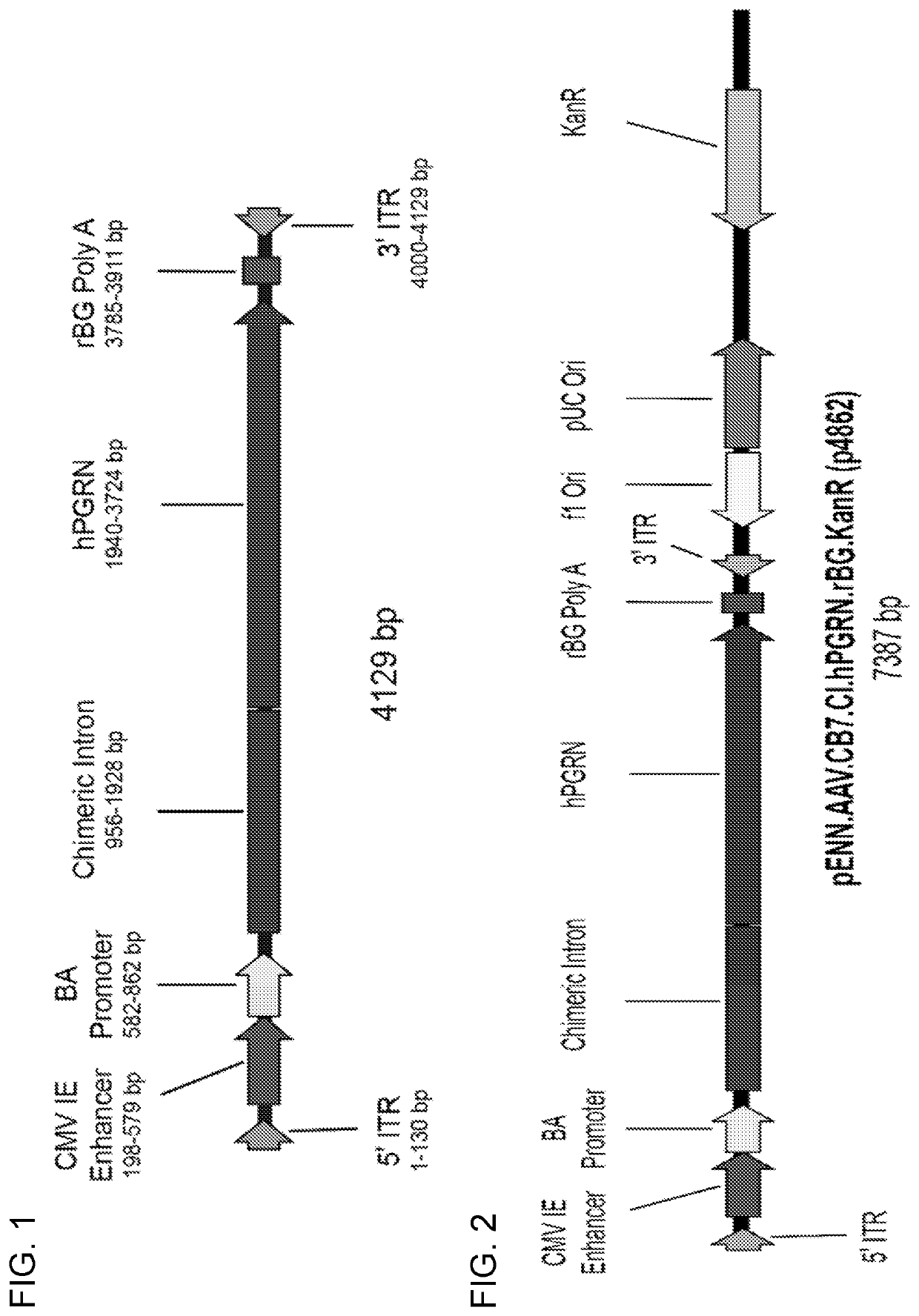 Recombinant adeno-associated virus for treatment of grn-associated adult-onset neurodegeneration