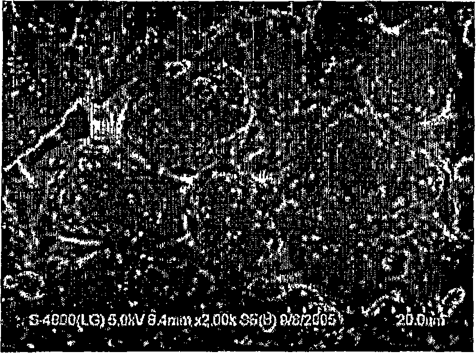 Electrode with enhanced performance and electrochemical device comprising the same