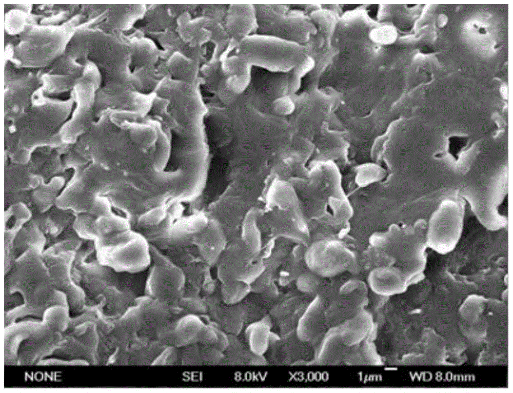 Rubber-plastic blend composition, dynamically vulcanized thermoplastic elastomer and preparation method