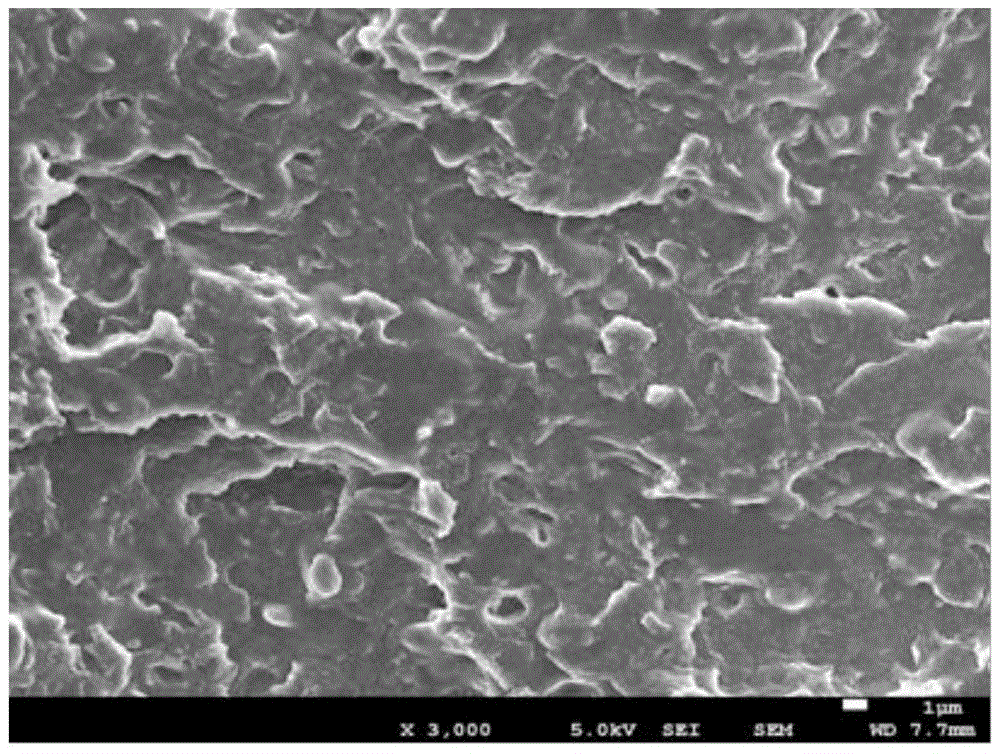 Rubber-plastic blend composition, dynamically vulcanized thermoplastic elastomer and preparation method