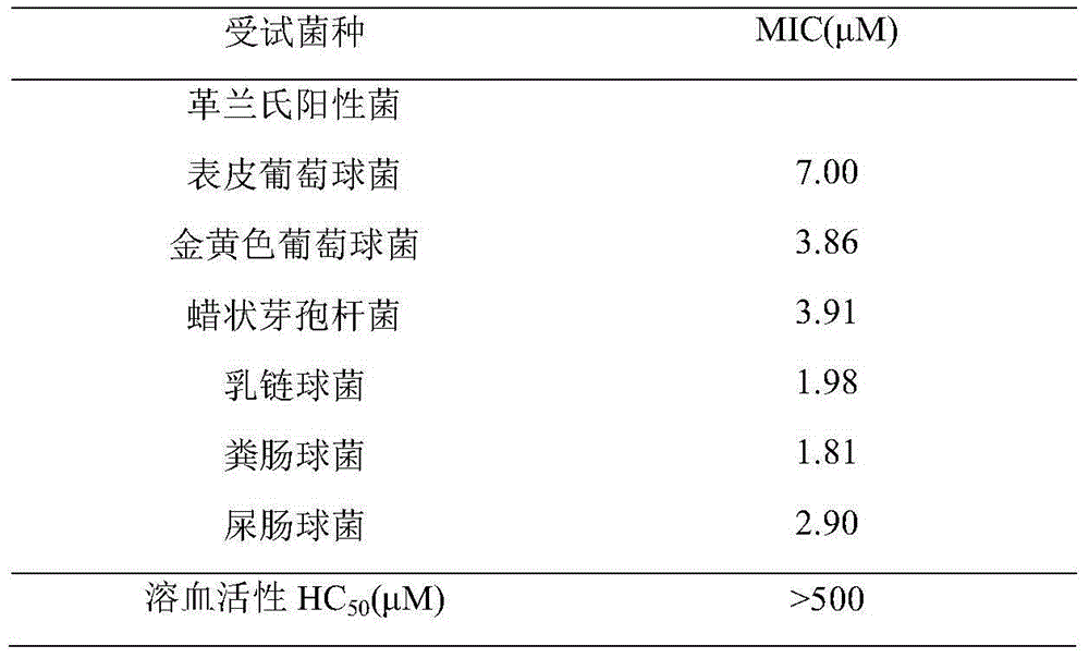 Antibacterial peptide derivative from forest frog and application thereof