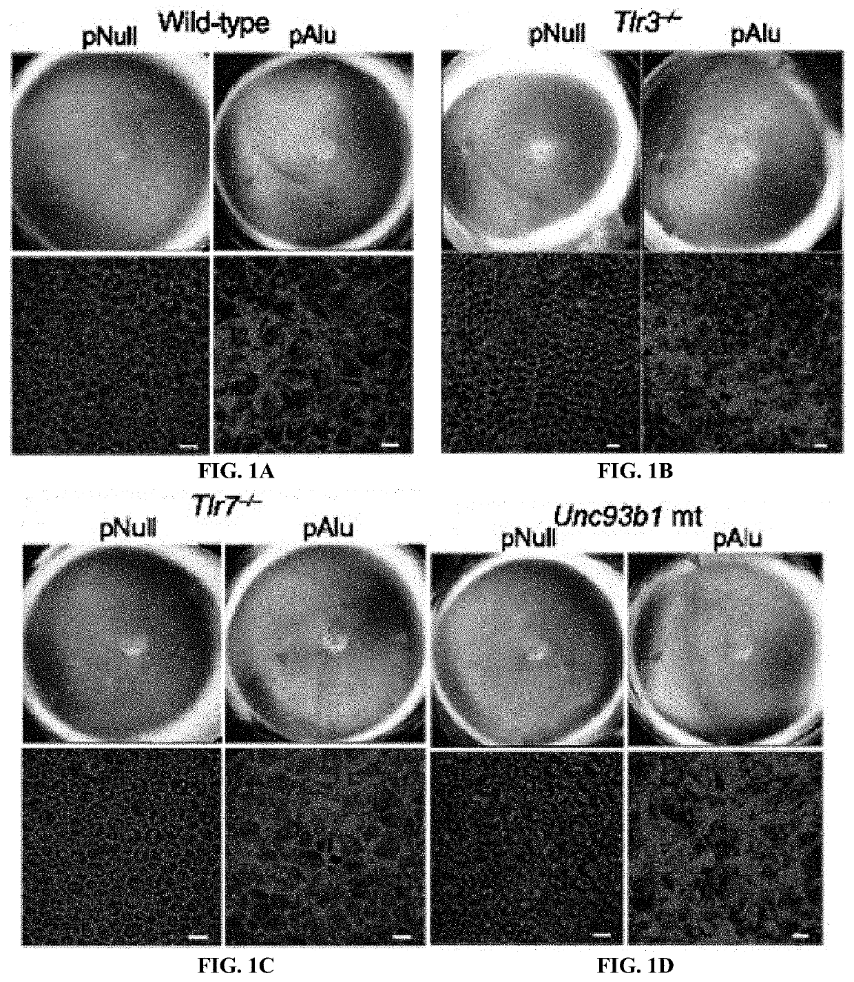 Protection of Cells from Degeneration and Treatment of Geographic Atrophy