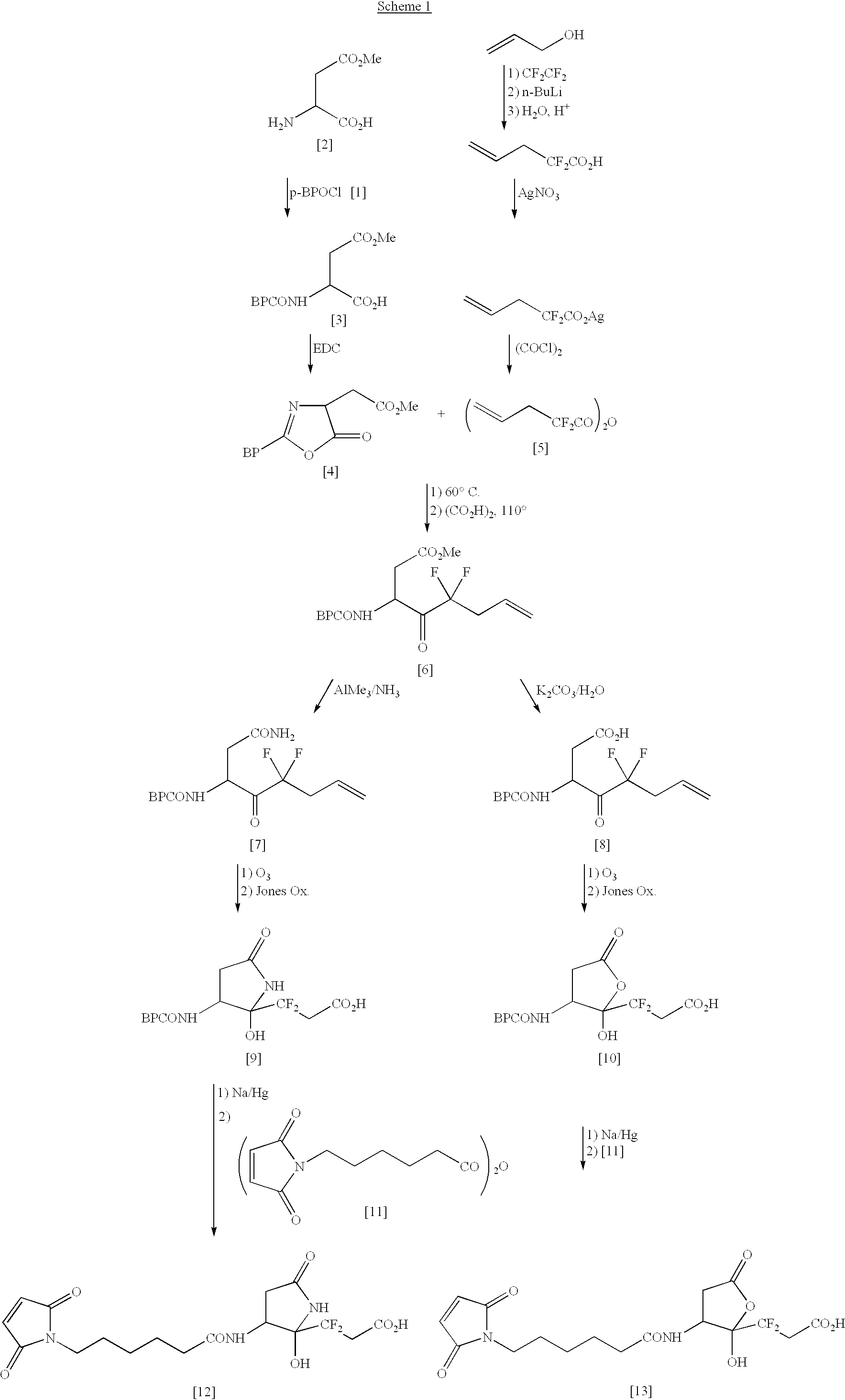 Methods for enhancing the rate of modification of metastable bonds