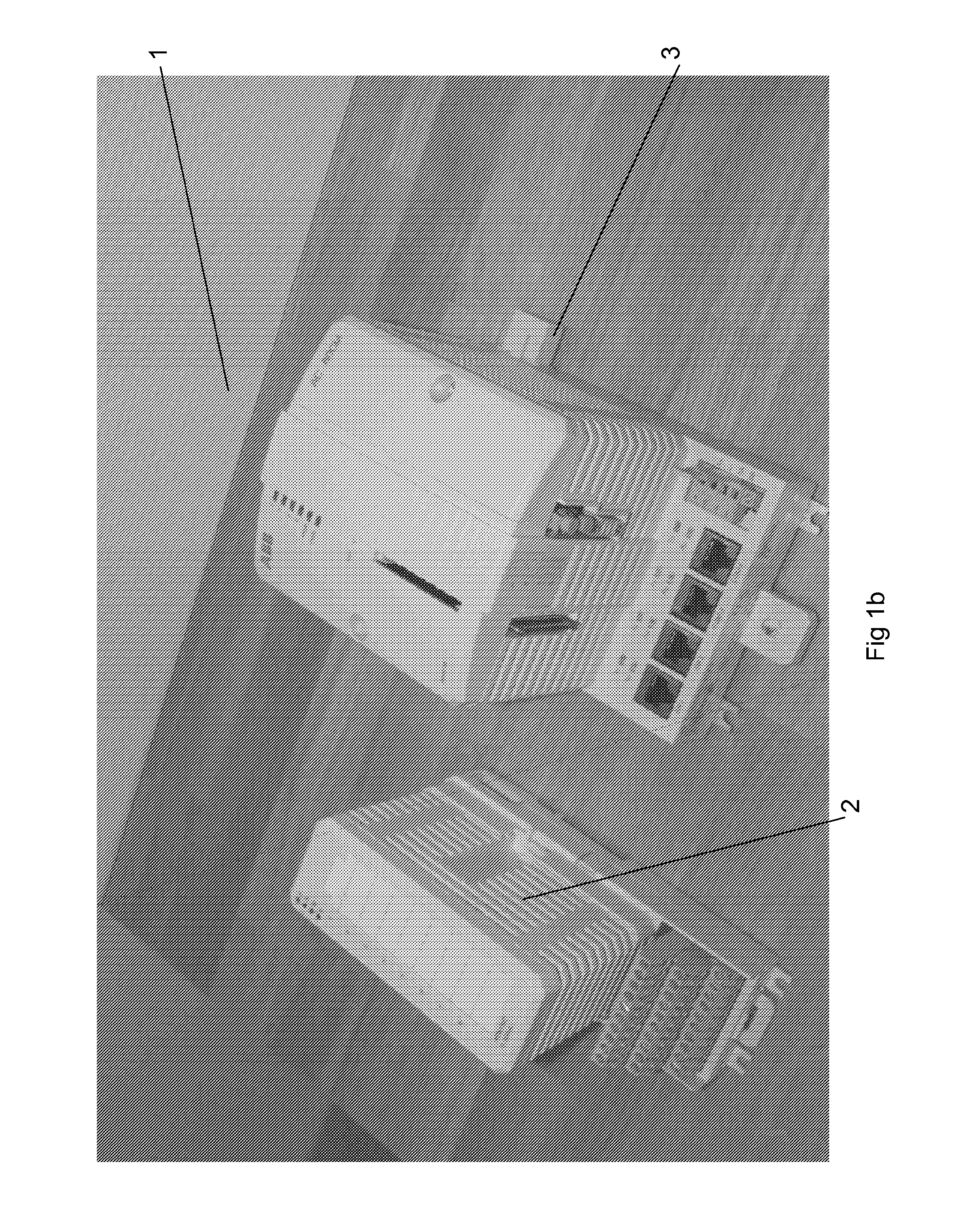 Computer implemented method and system for remote inspection of an industrial process