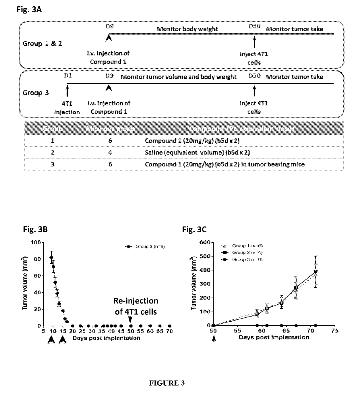 Immune memory induction by platinum based compounds