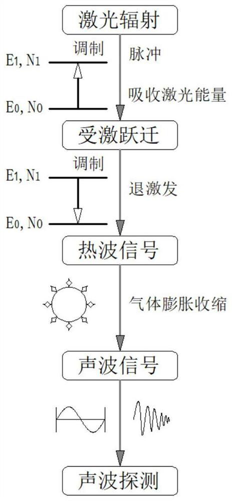 Laser trace vacuum pipeline gas detection device and method based on photoacoustic spectroscopy