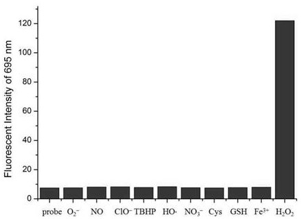 A kind of preparation method and application of hydrogen peroxide ratio fluorescent molecular probe based on dcpo core