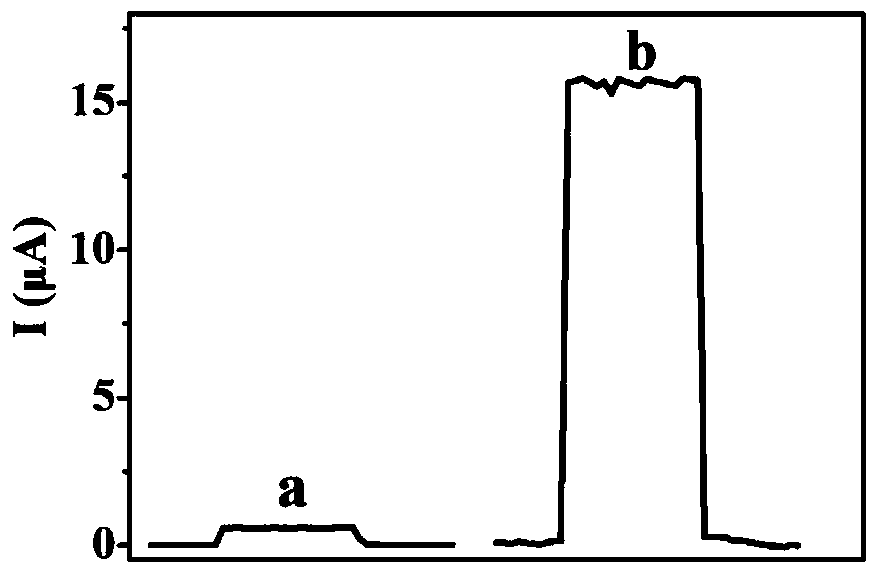 Method for photoelectrochemically detecting aflatoxin based on homogeneous anode of bismuth tungstate