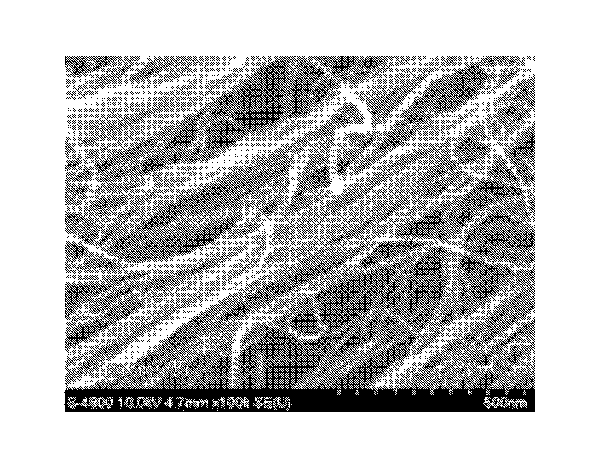 Supported Catalysts for Synthesizing Carbon Nanotubes, Method for Preparing the Same, and Carbon Nanotubes Made Using the Same