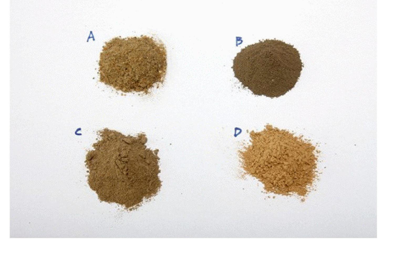 Process for de-coloring feather/feather meal degradation product and application of de-colored product