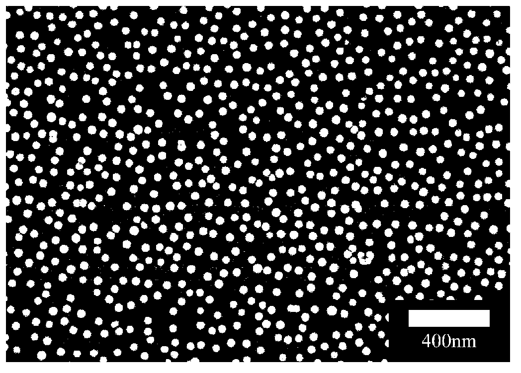 Preparation method of water soluble fluorescent nano-particles