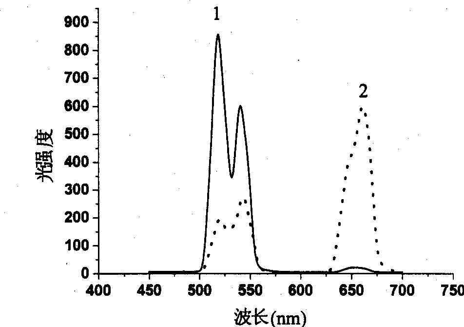 Up converting fluorescent material with nanometer level molybdate substrate and its prepn