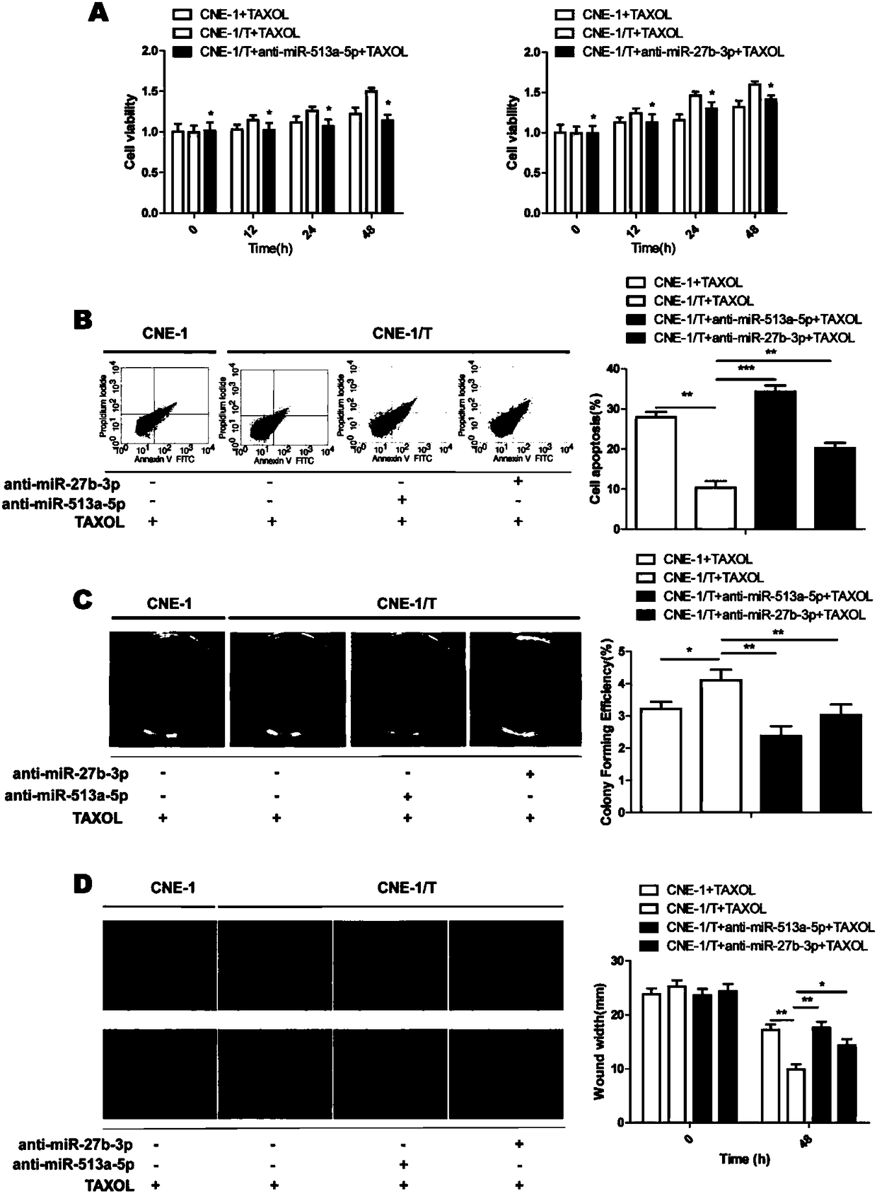 Application of ATF3 as target site in preparing taxol chemosensitization medicine for treating nasopharynx cancer