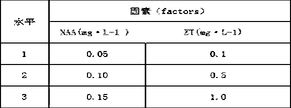 A tissue culture method for Rhododendron jinggangshanicum Tam