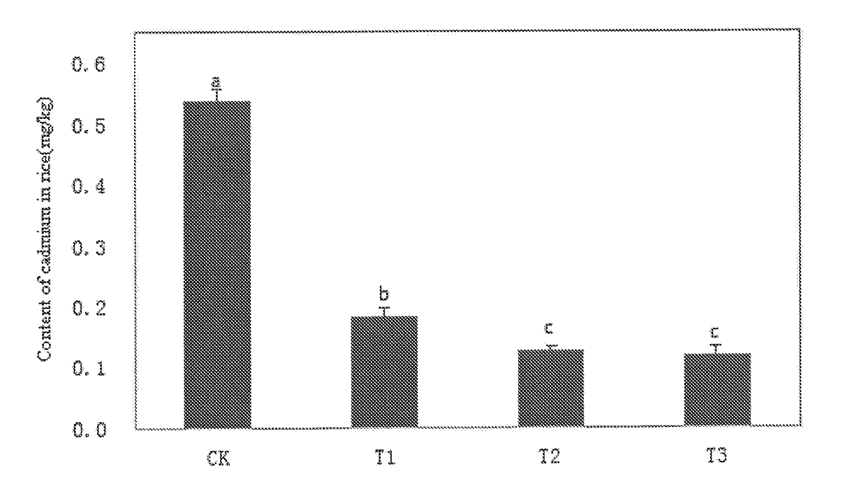 Heavy metal cadmium deactivator for activating activity of sulfur-reducing bacteria in rice field soil, and application thereof