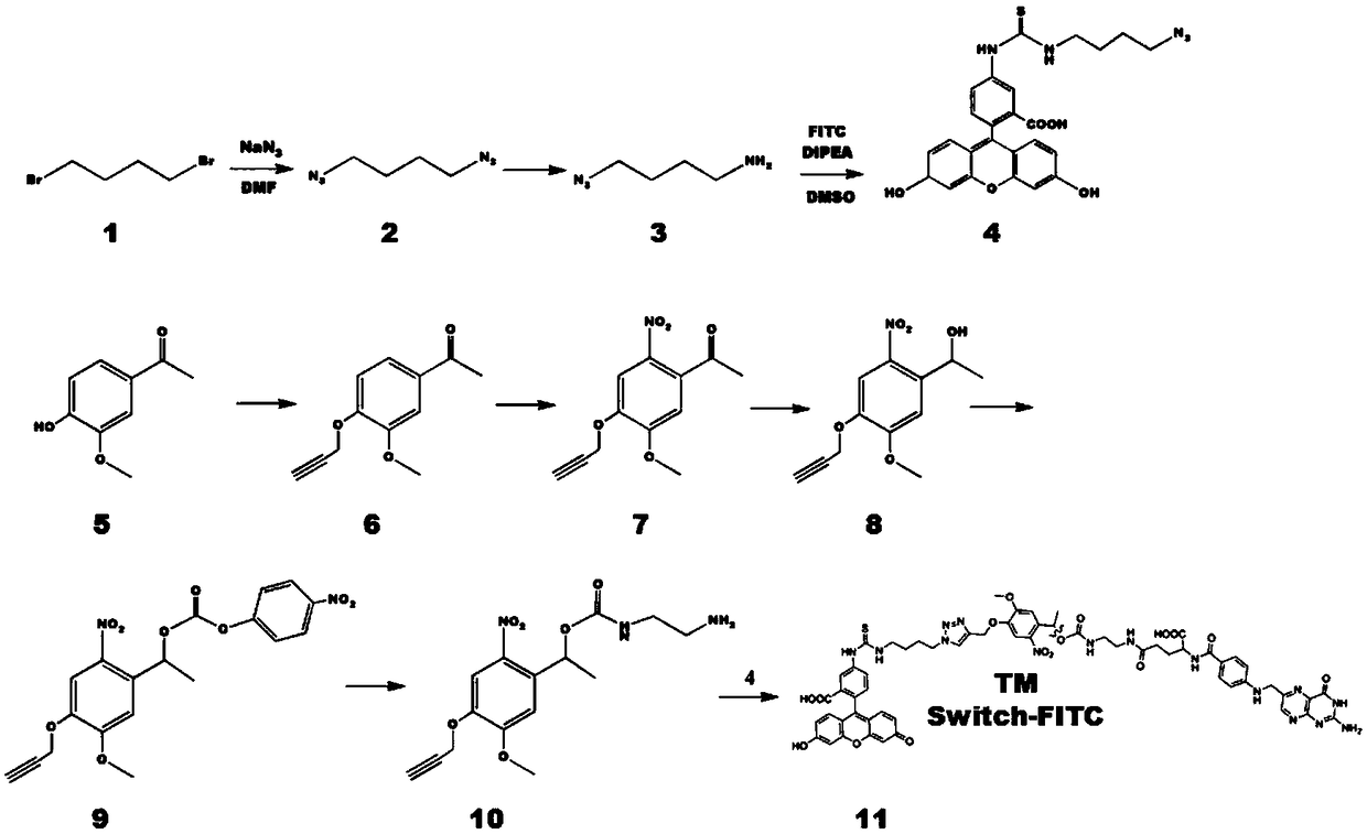 Connection arm for controlling activation/inhibition of chimeric antigen receptor T cell and application of connection arm