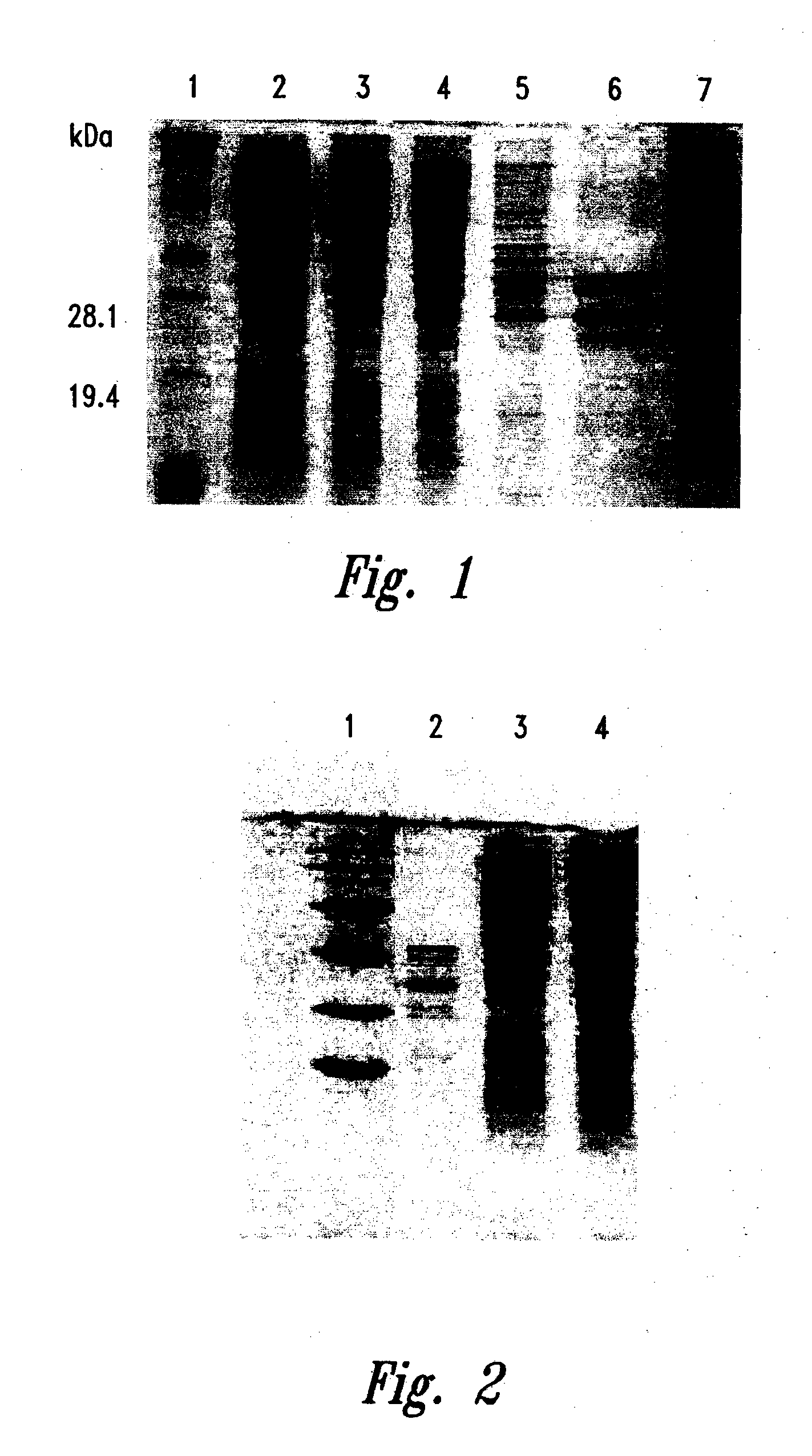 Compositions and methods for treating infections using cationic peptides alone or in combination with antibiotics