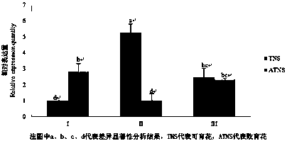 The pgag gene regulating pomegranate flower ovule development and its use