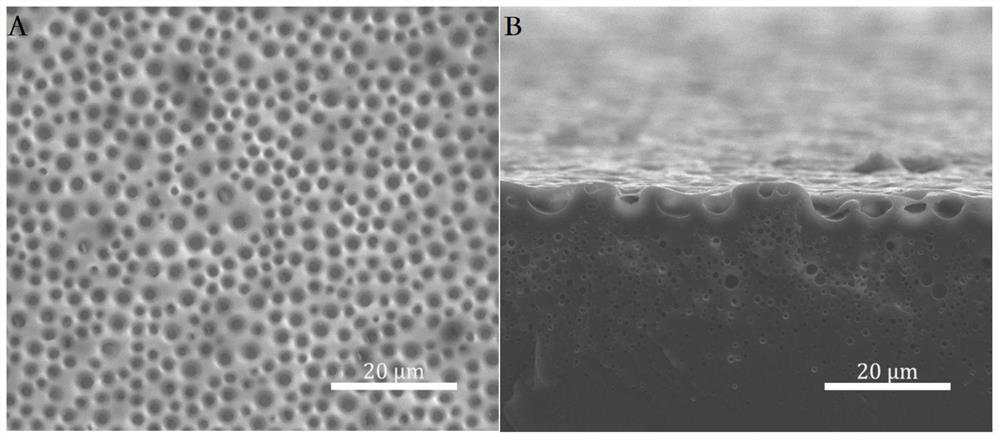 Rough substrate for smooth porous surface infused with lubricating fluid, smooth porous surface infused with lubricating fluid, and preparation methods of rough substrate and smooth porous surface