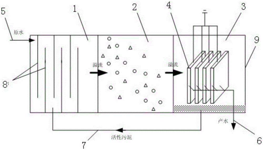 Integrated biofilm reaction system