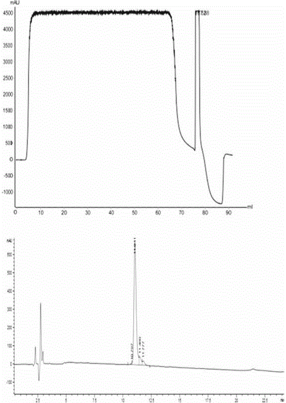 Recombinant insulin and insulin analogue precursor purification method