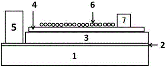 Nickel oxide nano-particles reinforced gas sensor and preparing method thereof