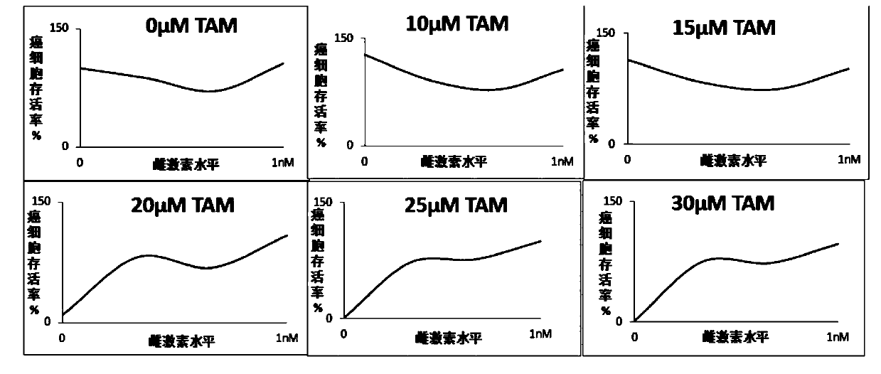 Personalized cancer medication database system and establishment method