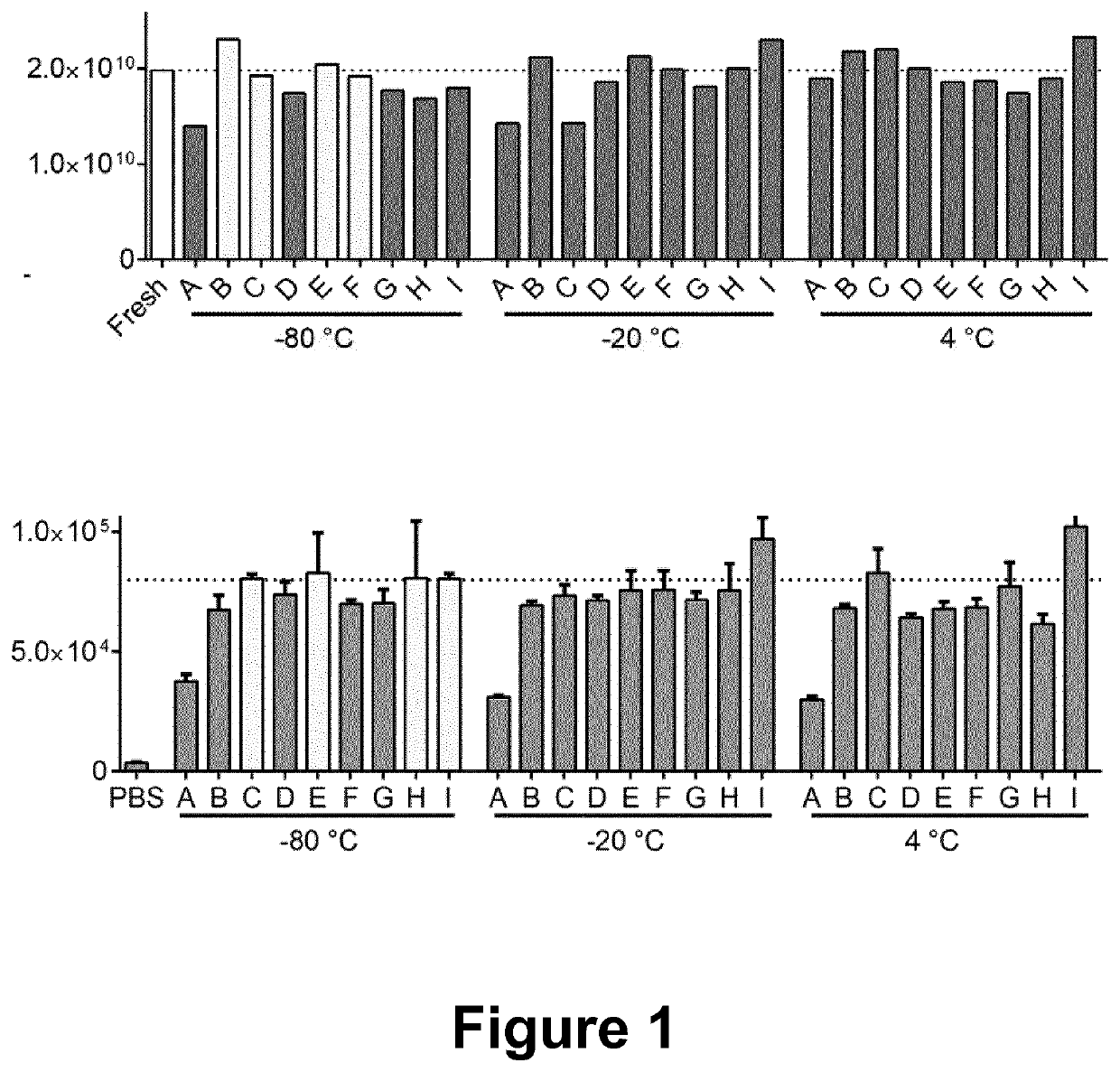 Compositions for extracellular vesicle storage and formulation